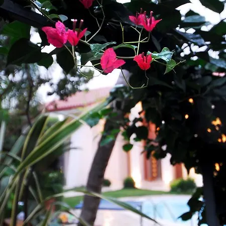 Relais Stella Tarent
